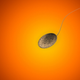 A sperm cell.